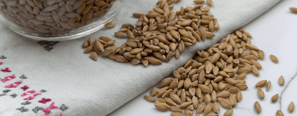Einkorn