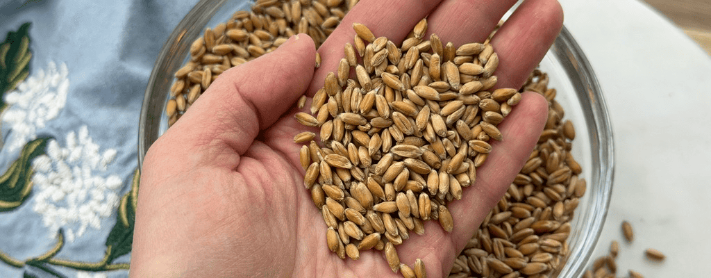 Spelt